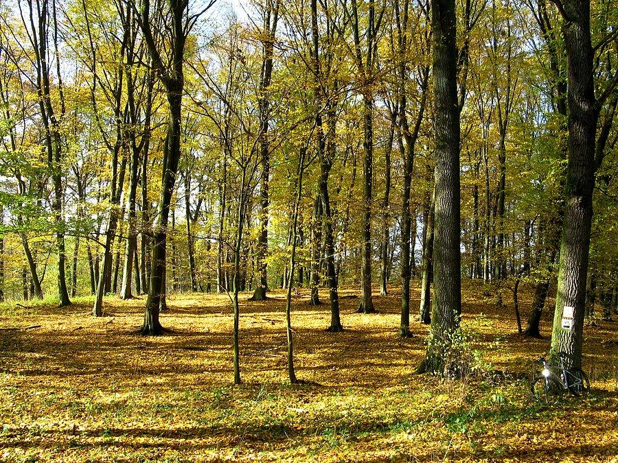 Park Krajobrazowy Promno
