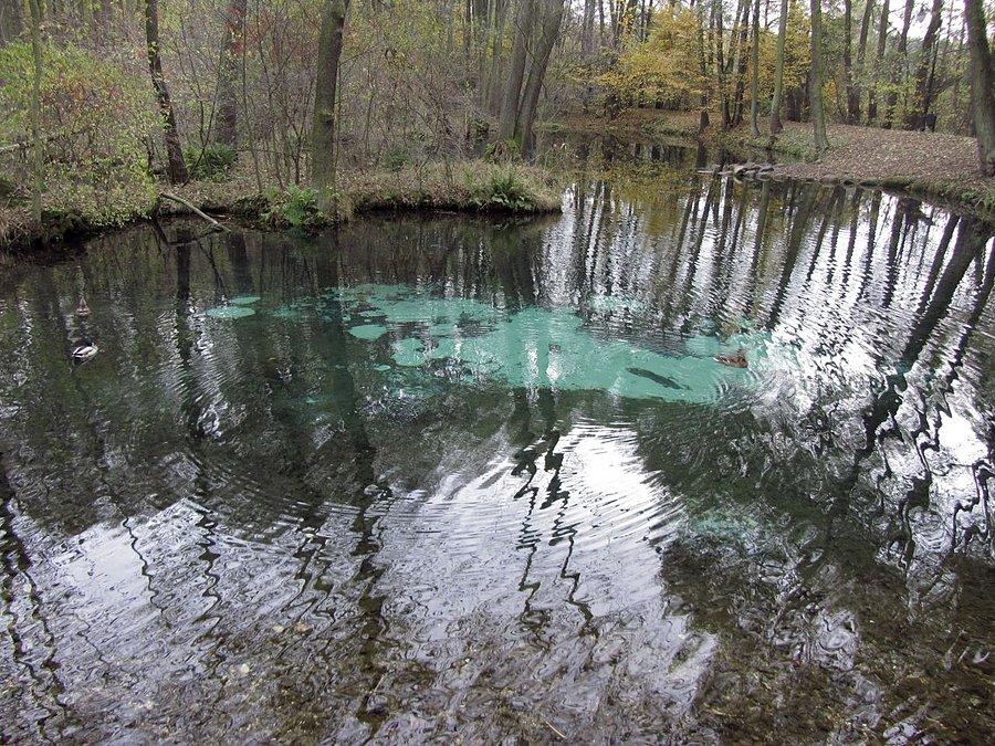 Niebieskie źródła