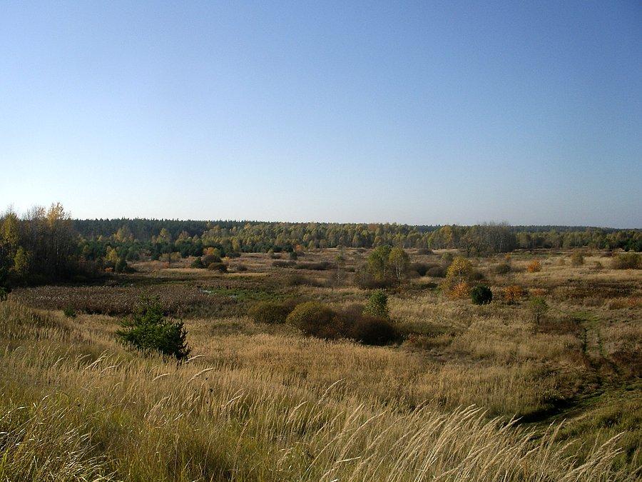 Widok z toru off-road, Wyrazów
