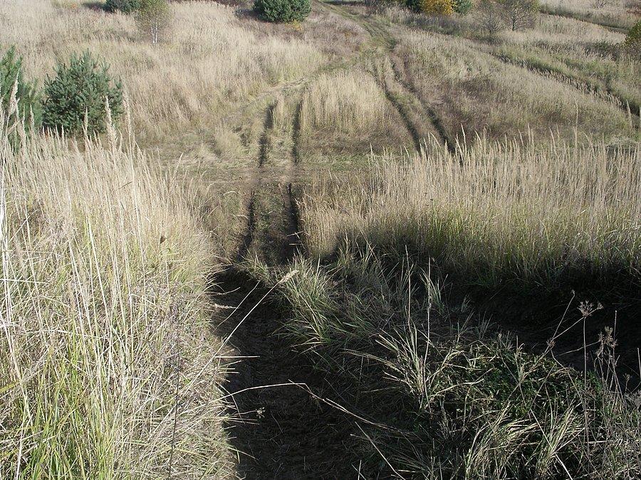 Tor off-road, Wyrazów