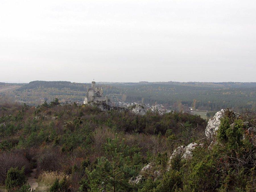 Widok na zamek Mirów