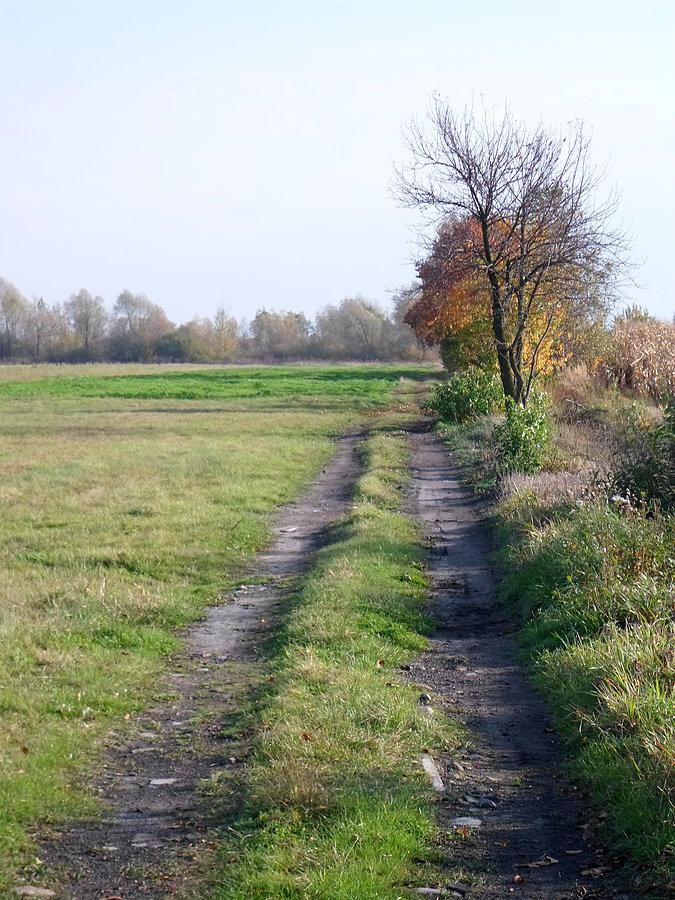 Polna grobla