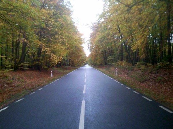 W kierunku Trzebieży