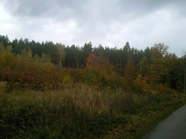 W drodze do Dobieszczyna