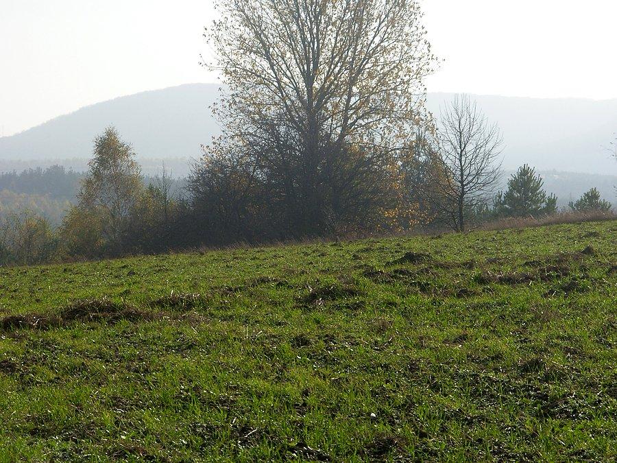 Jak w górach