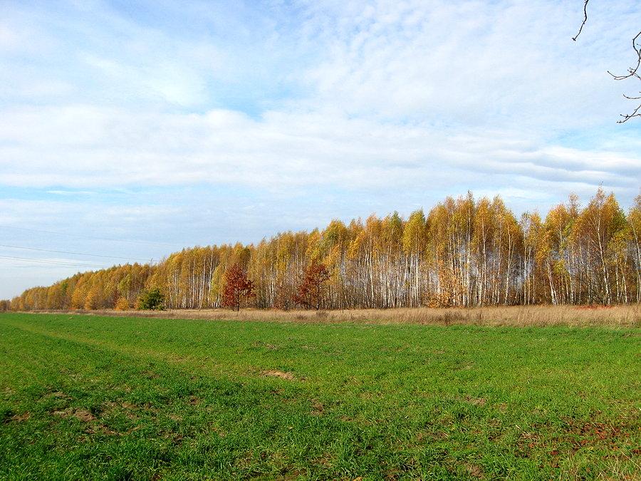 Łódź Brus