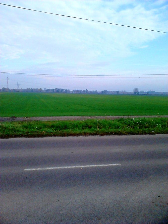 Trawa w rolkach rośnie jeszcze na polu :)