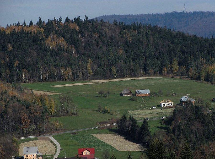 Podjazd na Ropską pod drzewami Maślanej