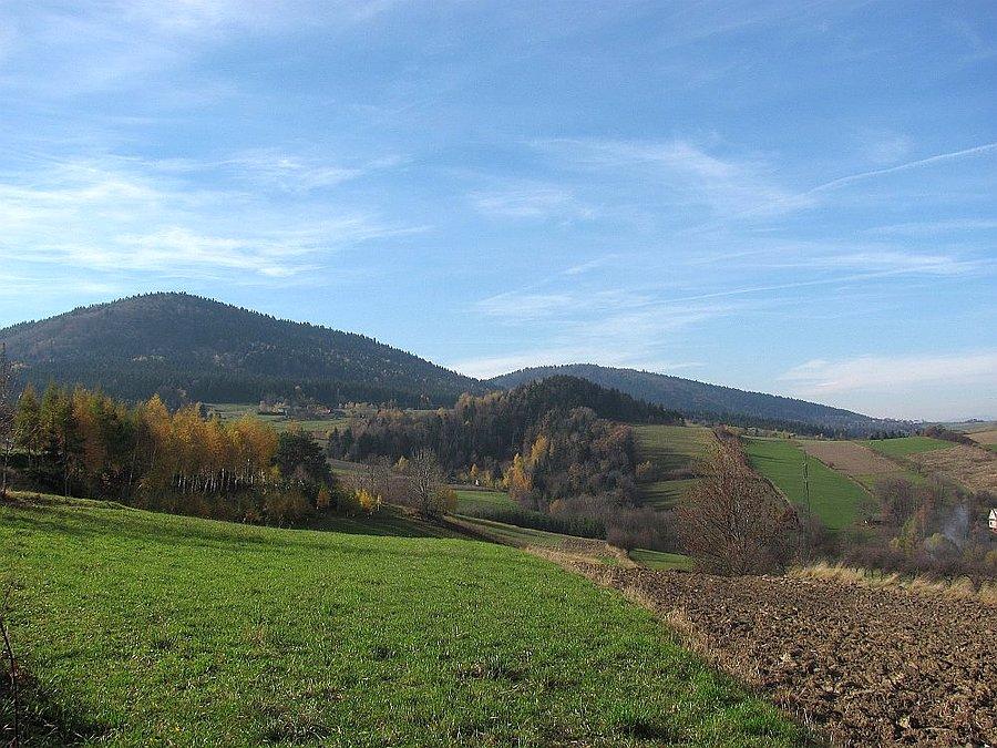 Widoczki pogórzańskie