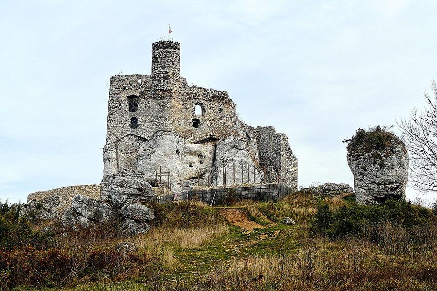 Zamek Mirów, w odbudowie