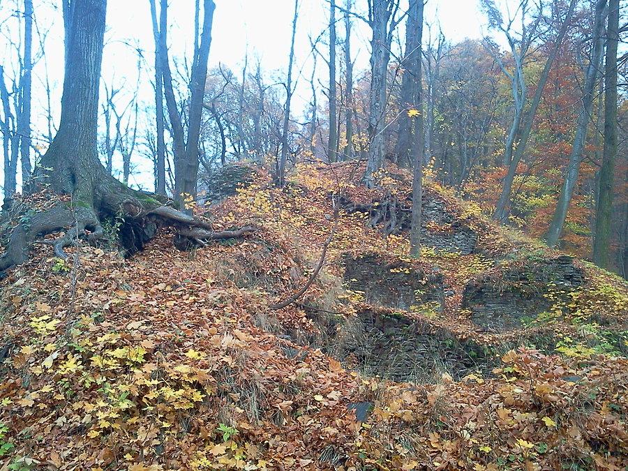 Ruiny zamku Drahotus