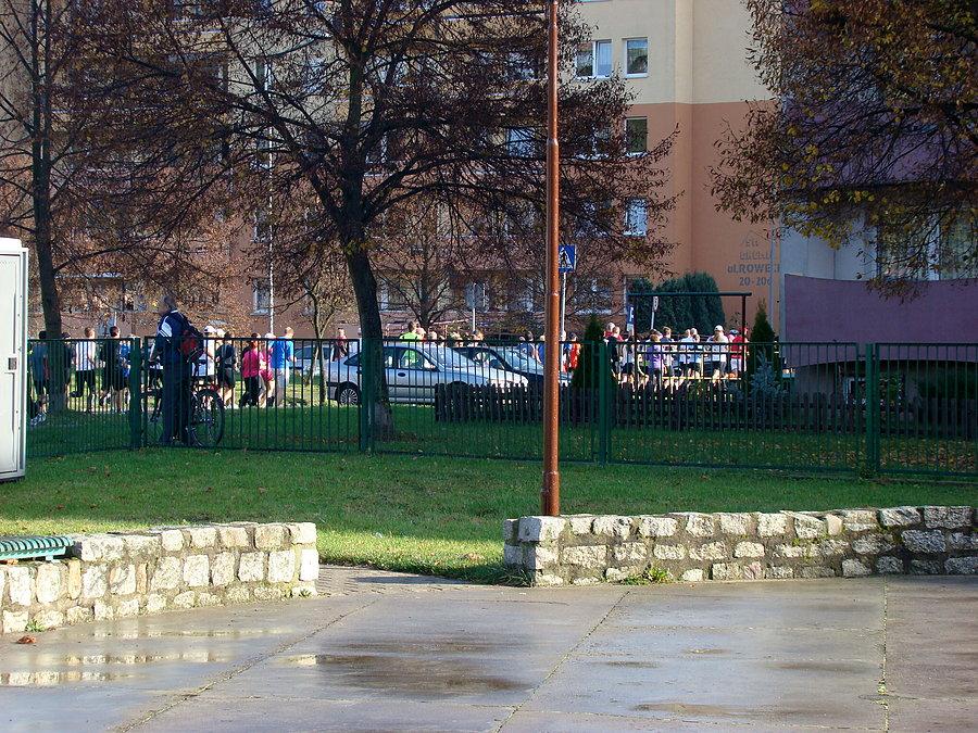 Widok na biegaczy na 10 km