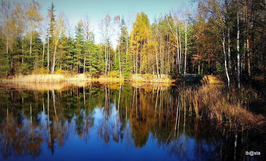 Staw no name - gdzieś po drodze przy Zielonym Dukcie