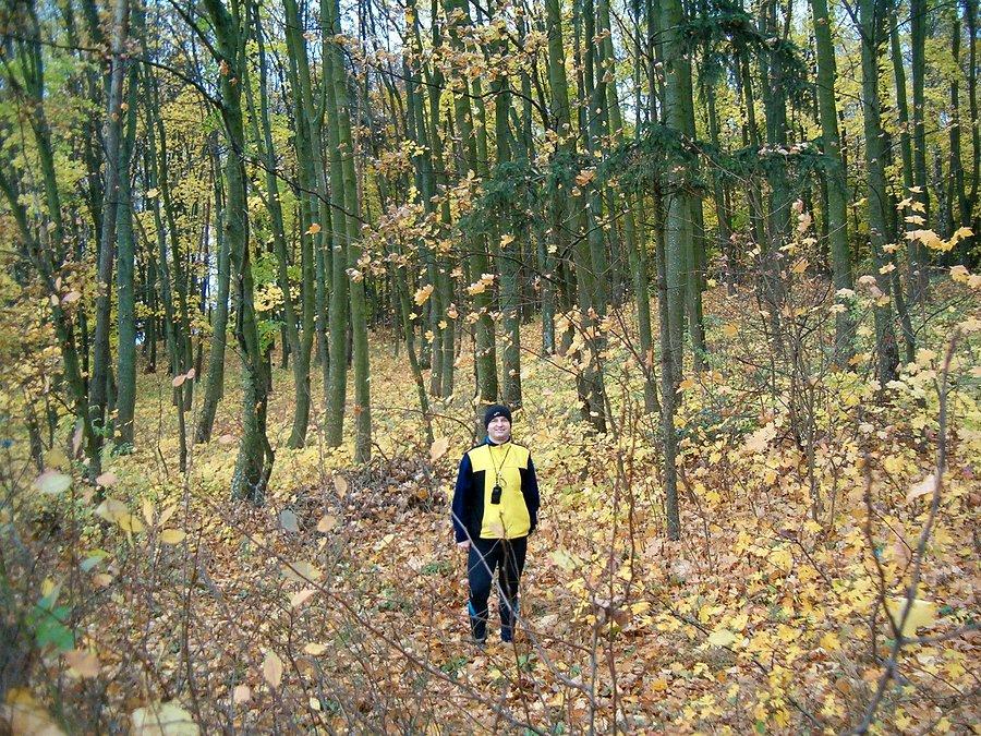 26-10-2013. Sobotnia rowerowa stówka. Na łonie Natury w lesie przed Pelplinem, krajobraz piękna Jesieni