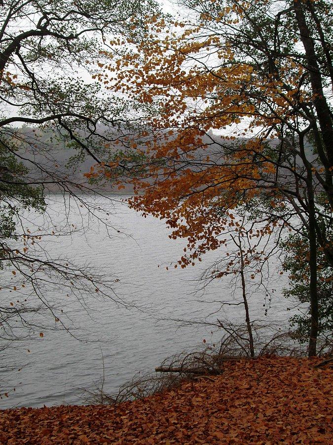 Widok na jezioro
