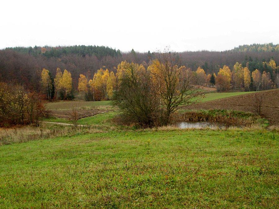 Kaszubskie widoki