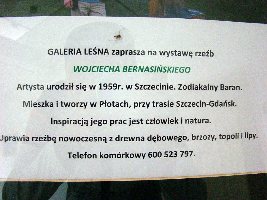 Informacje o autorze tych wspaniałych rzeźb