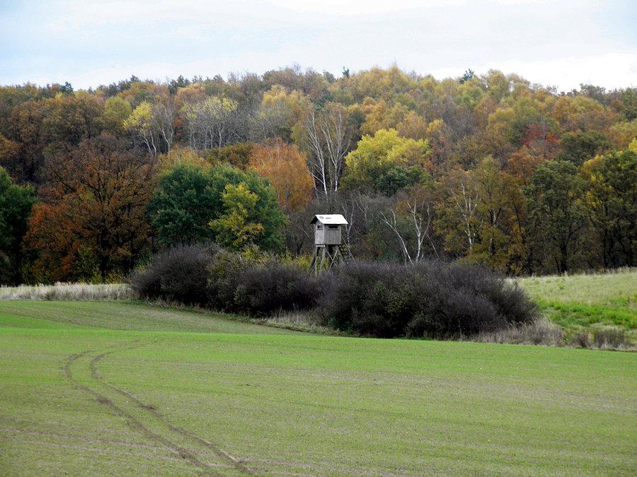 Obrazek z trasy Blankensee - Bismark 27-10-13 r