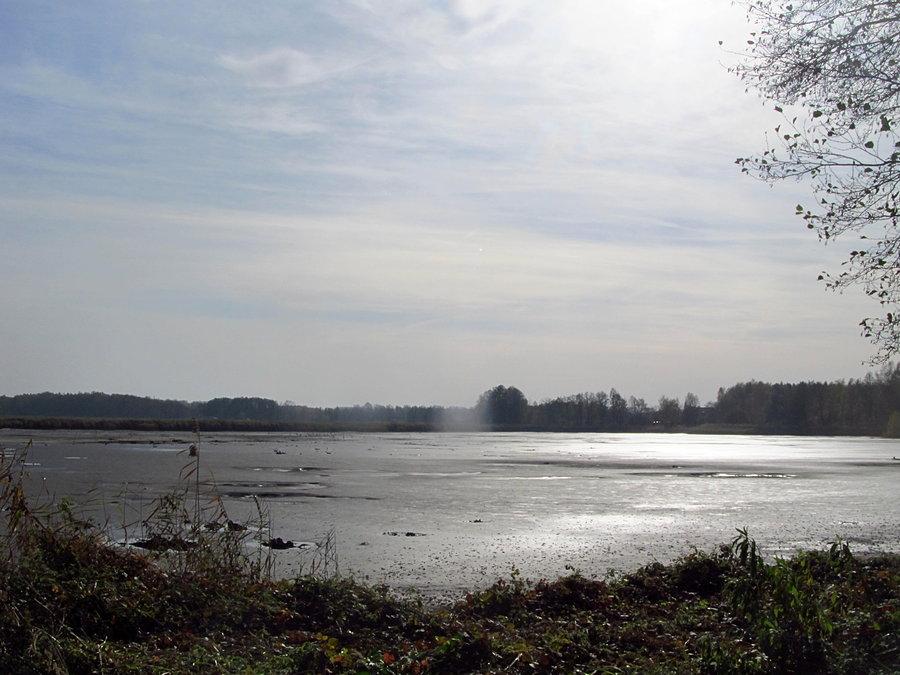 Jeden z wyschniętych