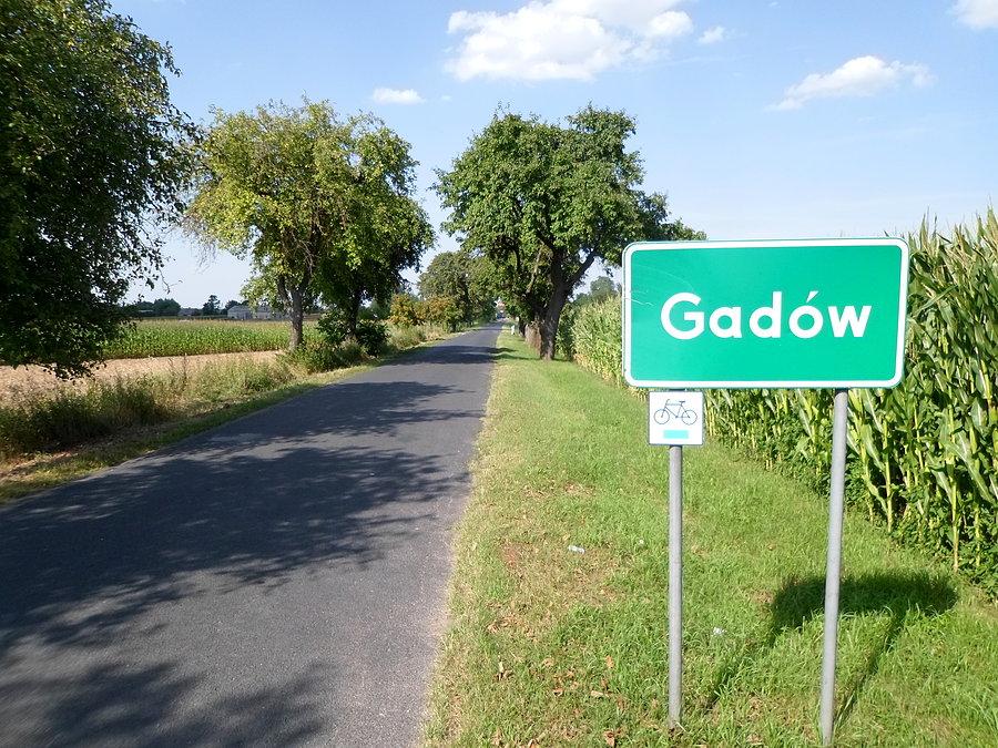 Aleja owocowa we wsi Gadów