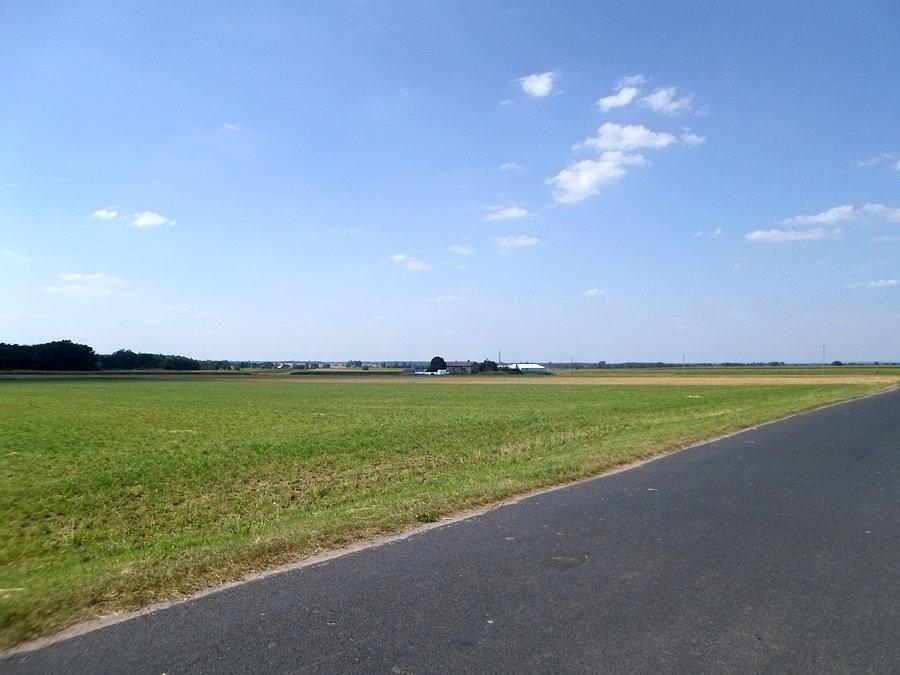 Wielkopolskie pola