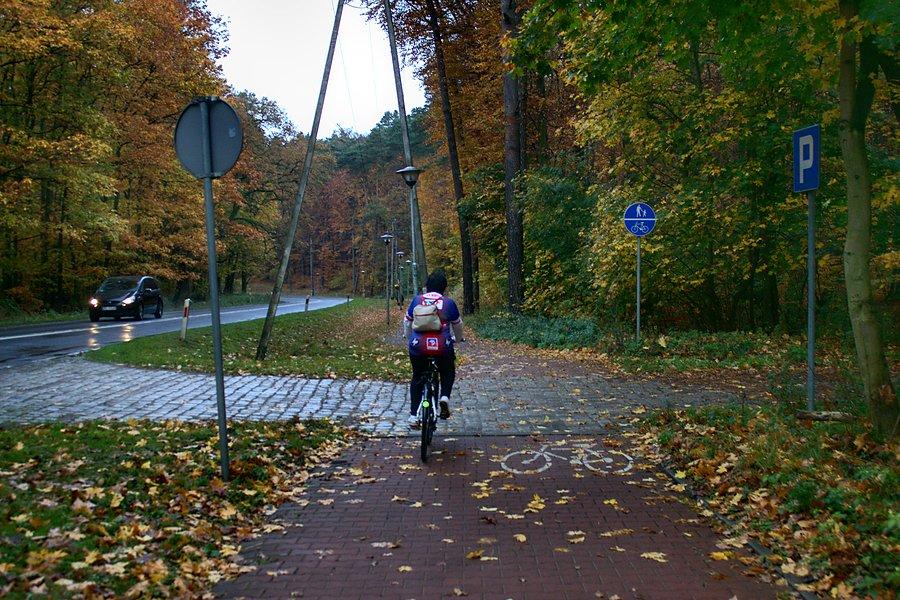 Za Gosią do Polic