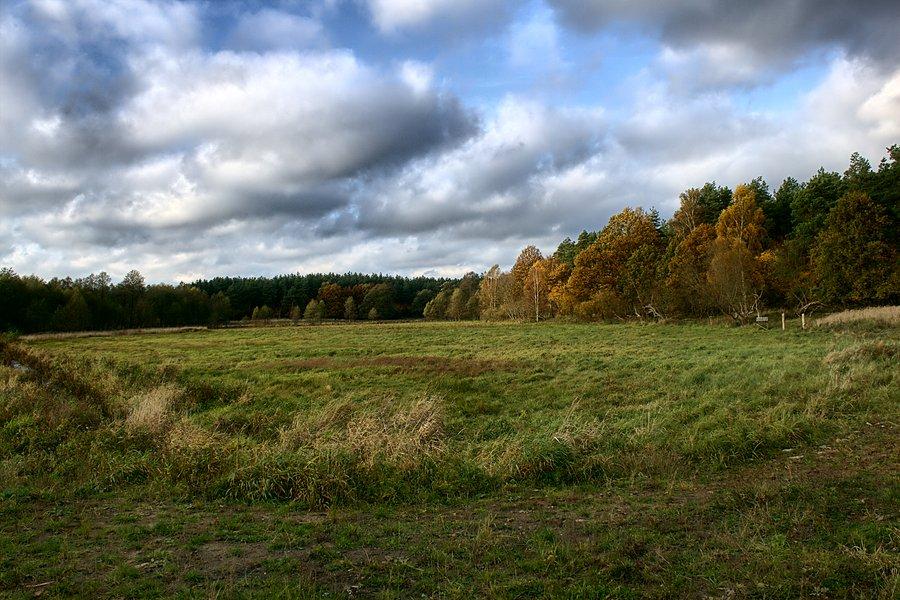 Widoki przy Ośrodku w Zalesiu