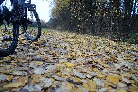 Na jesiennej drodze