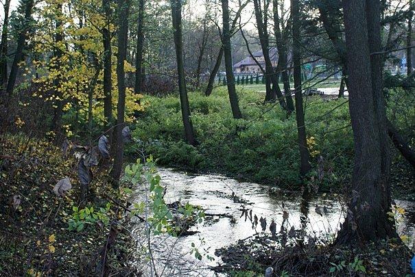Gać Spalska