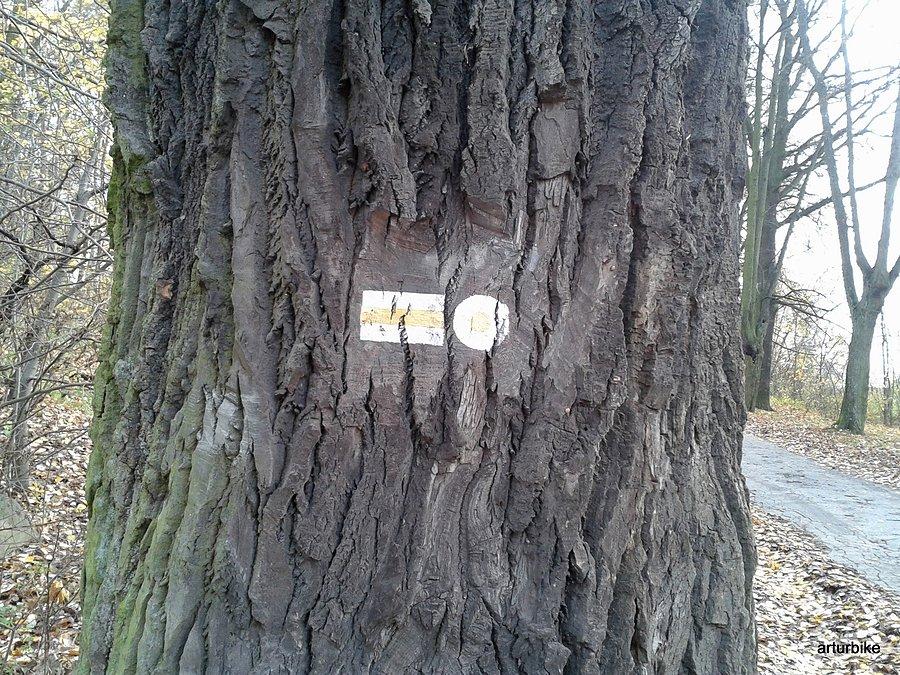 Początek i/lub koniec żółtego szlaku w Bażantarni