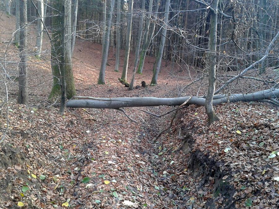Tak wygląda oznakowany szlak czerwony, masakra :-(