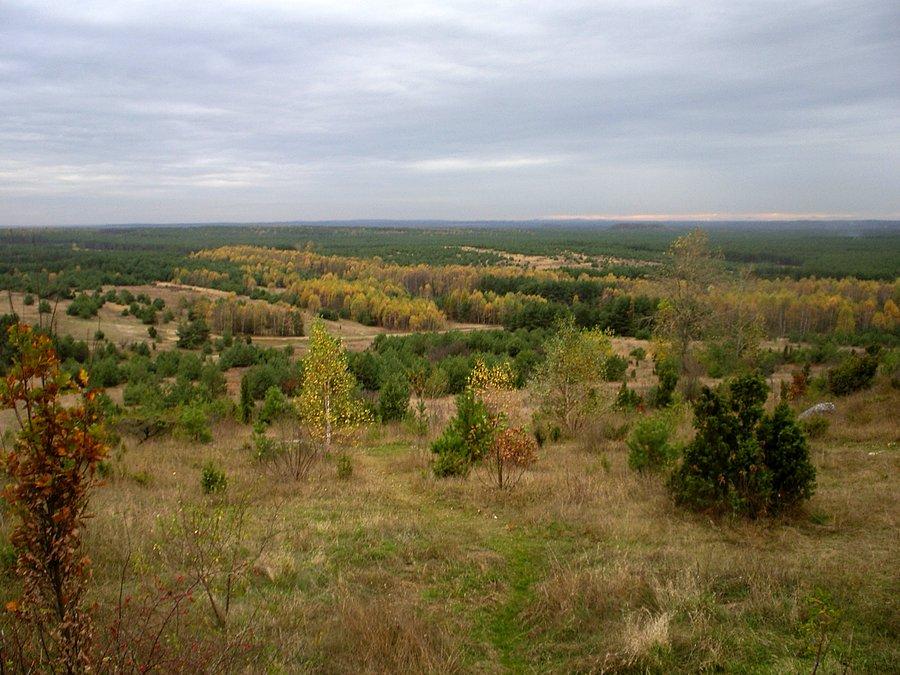Widok z Lipówek