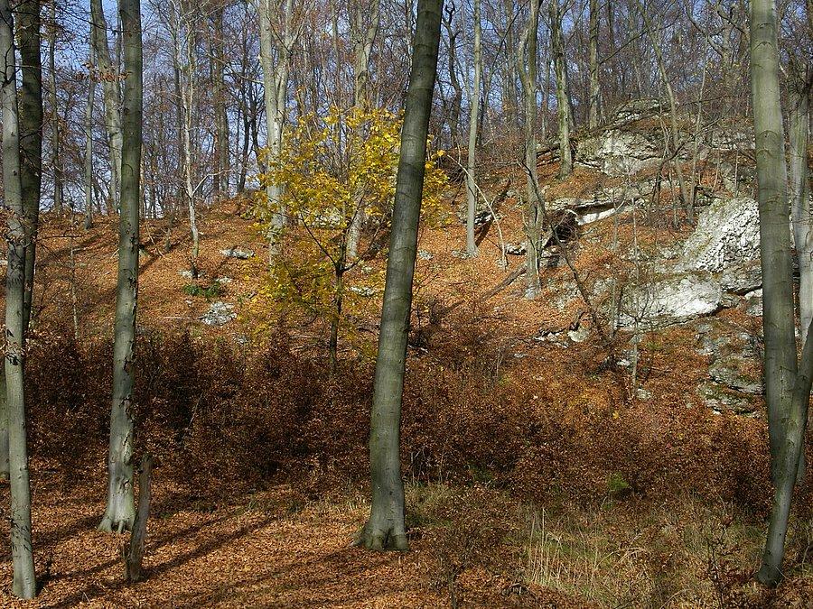 Skałki widoczne jesienią