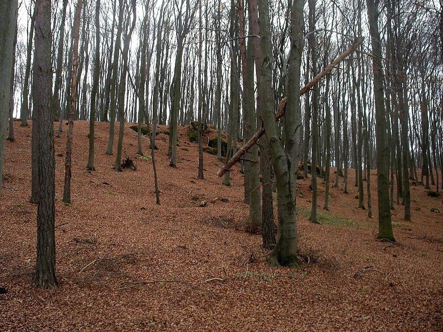 Koniec lata