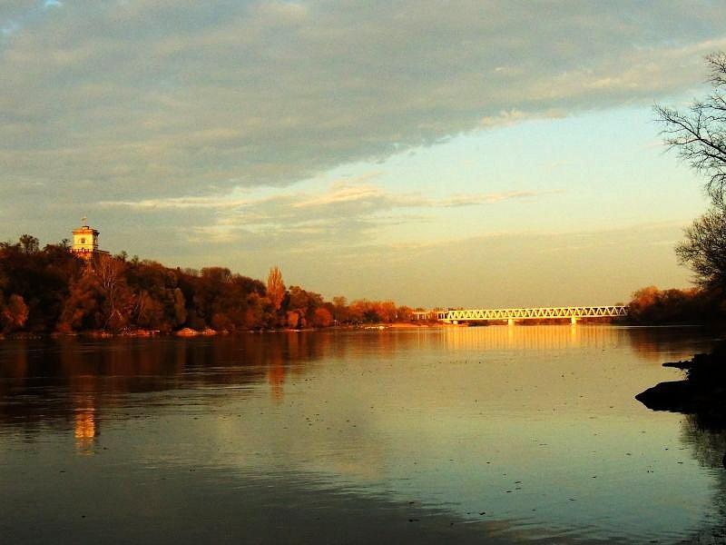 Narew