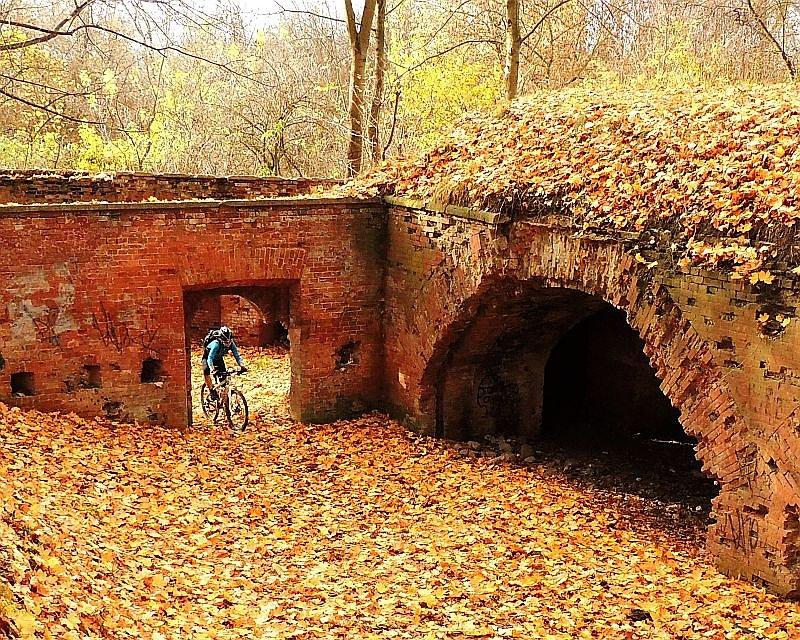 Wśród ruin trwierdzy