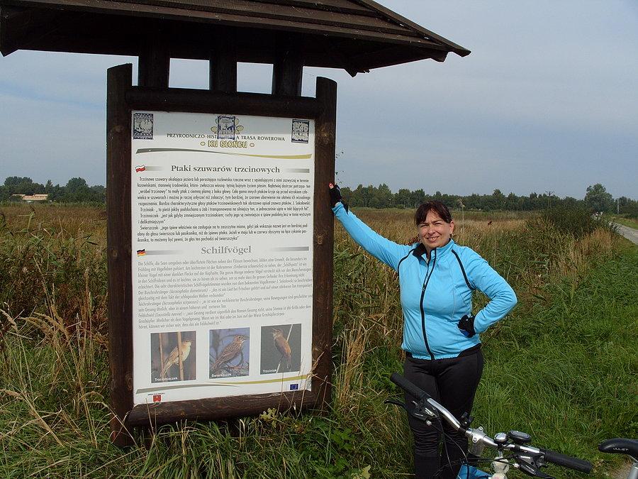 Początek naszej przygody i pierwsza tablica o nazwie Ptaki szuwarów trzcinowych. Takich tablic z dokładnym opisem co znajduje się w danym miejscu jest dość sporo