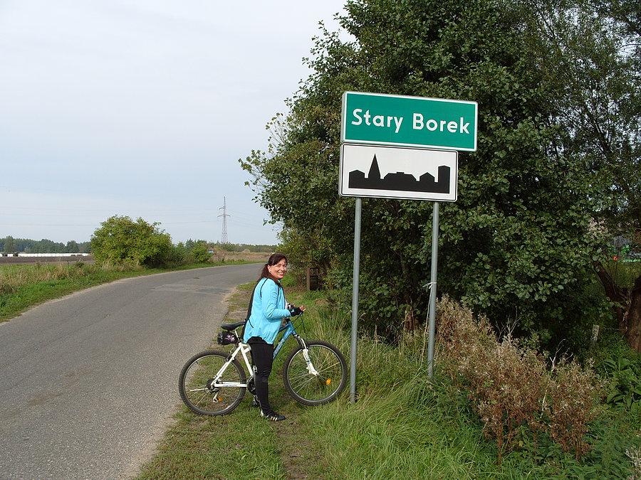 Stary Borek to i leśne szaleństwo się zaczyna