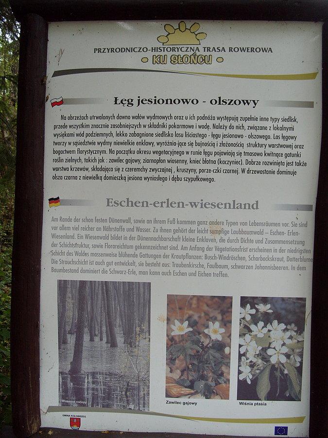 Łęg jesionowo olszowy czyli bagna i tym podobne ;)