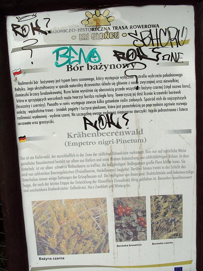 Bór Bażynowy i nasi też tu byli ;(. Występowanie wyłącznie w strefie wybrzeża południowego Bałtyku