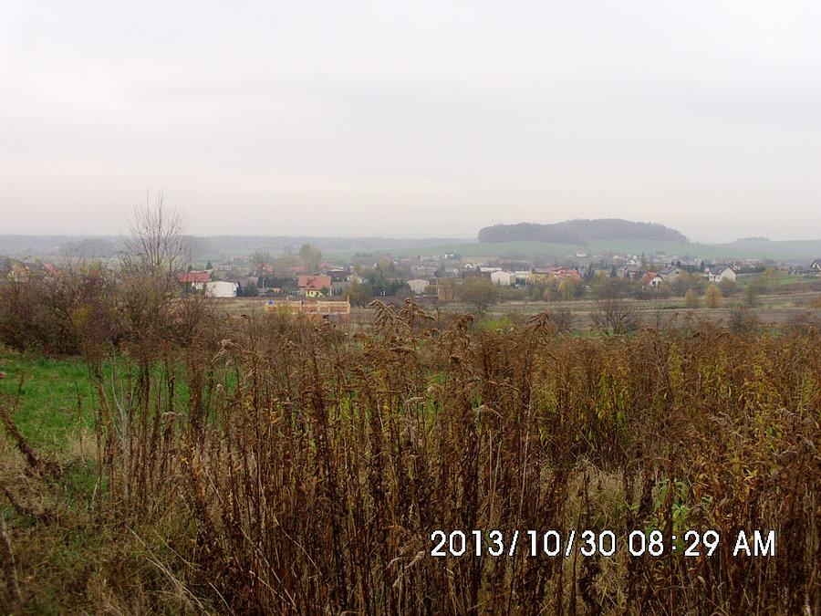 Widok na Orzech ze strony Nakła Śląskiego