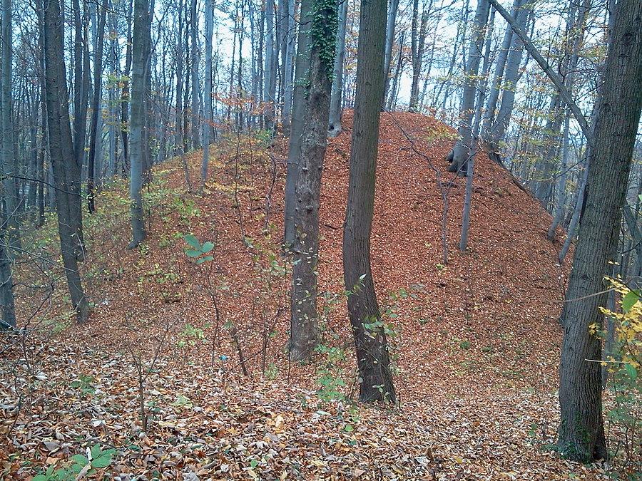 Rzepiszcze gródek