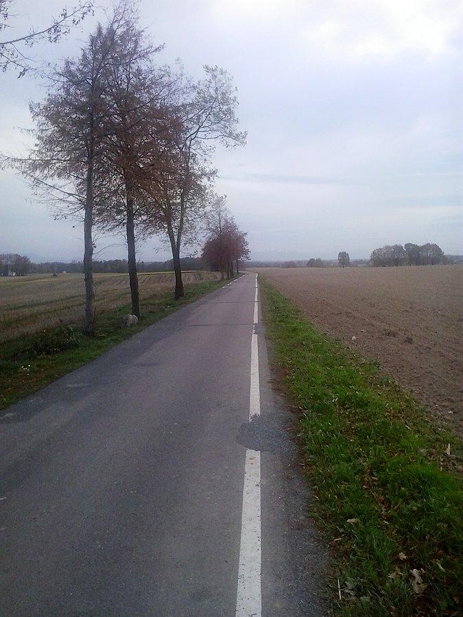 Golasowice