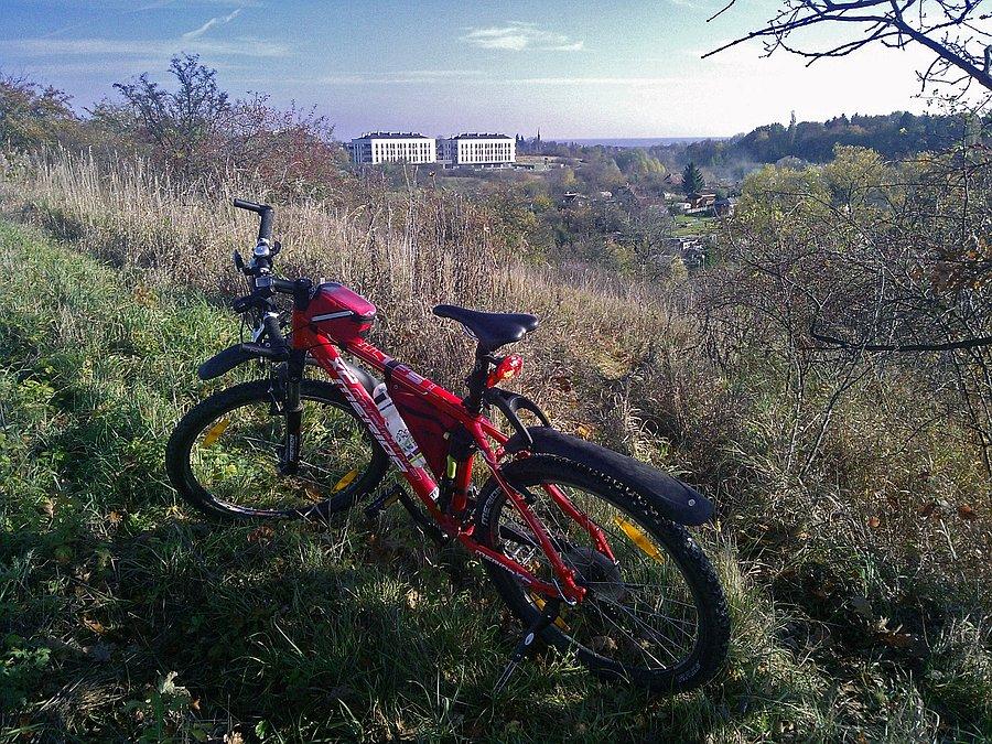 W pobliżu ul. Małe Błonia. Widok na Park Ostrowska