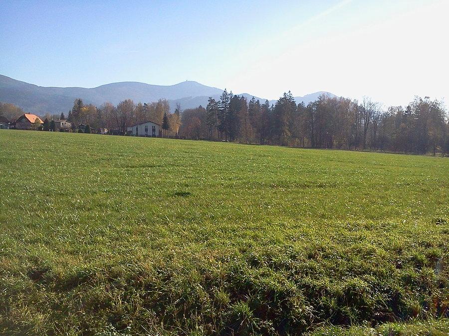 Widok na Łysą Górę