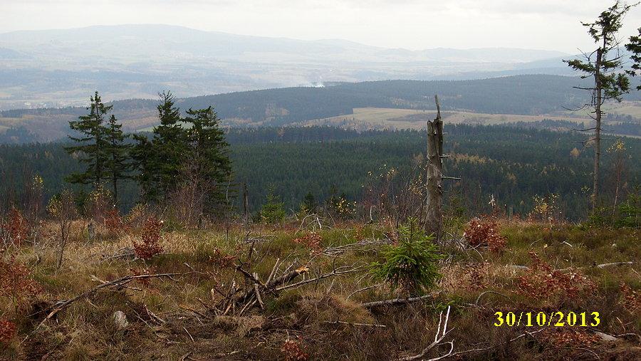 Widoczek z góry