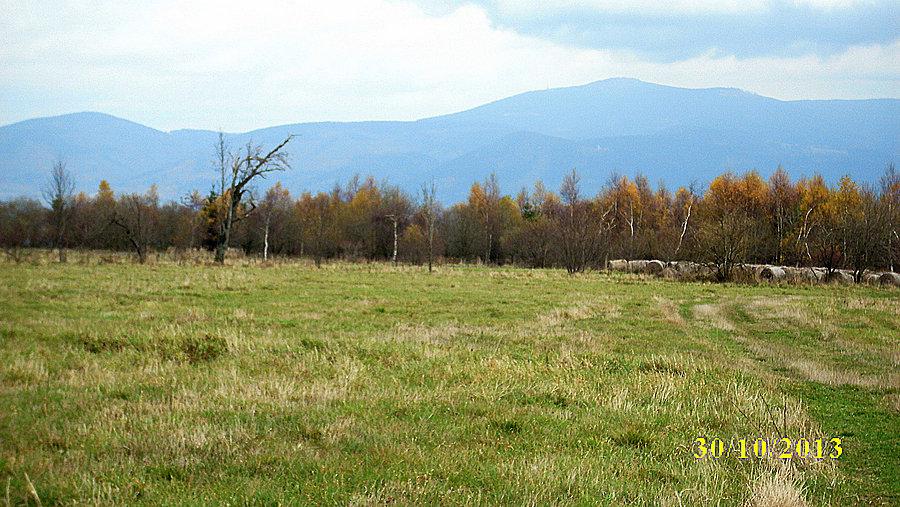 Masyw Śnieżnika widziany z łąki koło Jedlnika