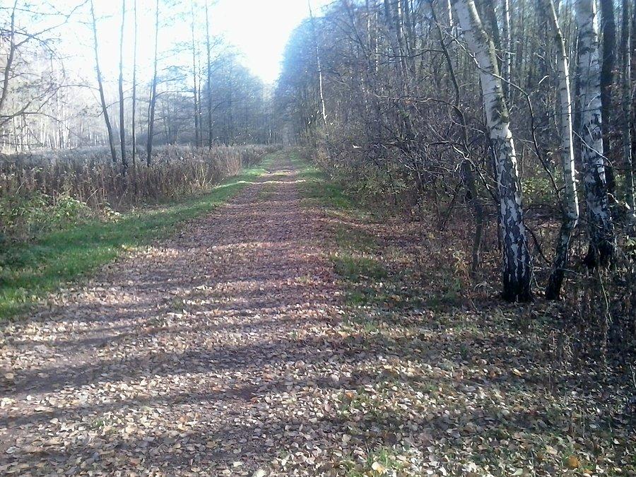Trakt Cesarsko-Pruski