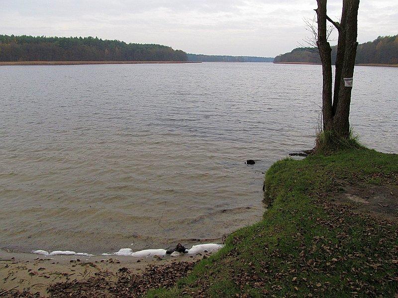 Jezioro Kołatkowskie - widok z "Ekoplaży"