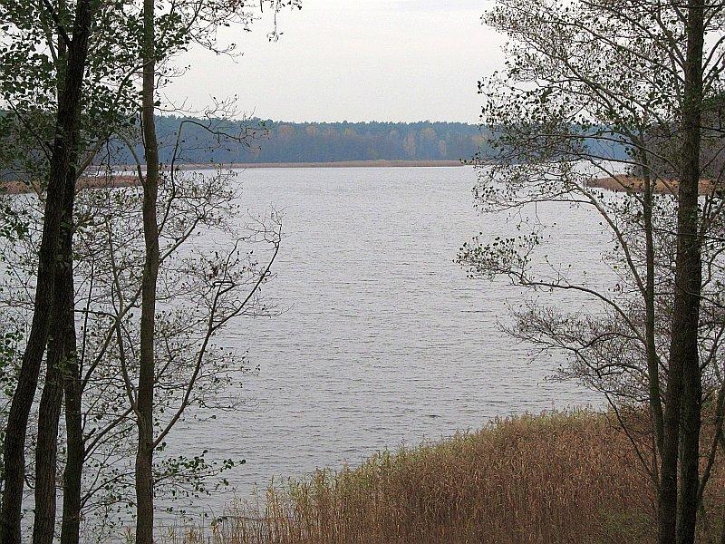 Jezioro Kołatkowskie - widok z zielonego szlaku